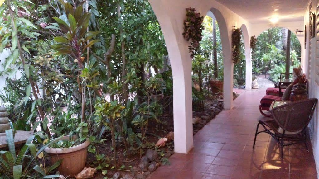 רינקון Coconut Palms Inn מראה חיצוני תמונה